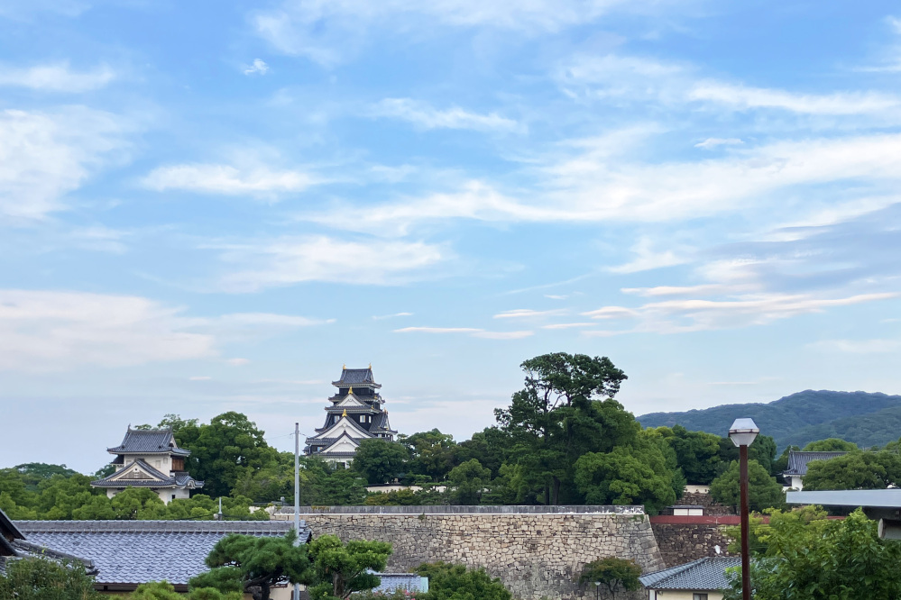 【空から見る岡山の史跡】岡山を代表する名城「岡山城」を空から徹底解説!